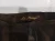 1784626299 (3).webp