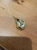 1779358667 (2).webp