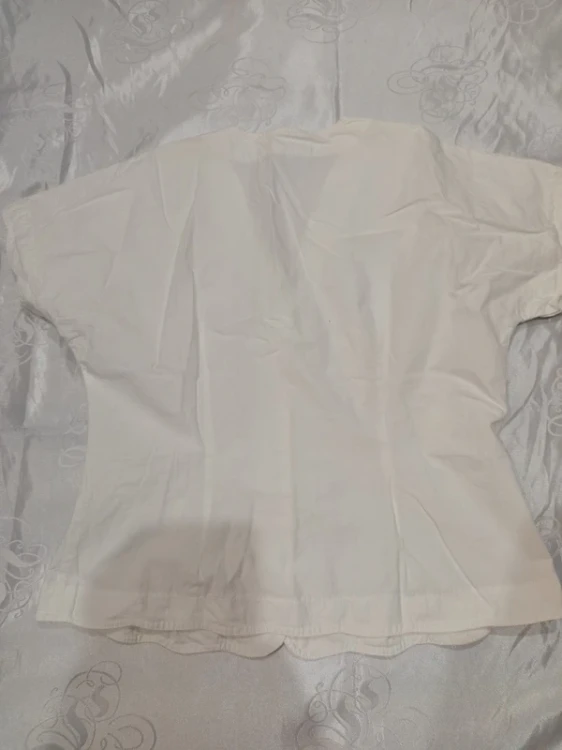 1785310852 (1).webp