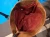 1776237524 (1).webp
