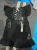 1780727236.webp