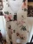 1741771735 (1).webp