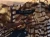 1742486479 (1).webp