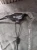 1742887643 (1).webp