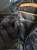 1742913499 (2).webp
