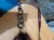 1771920282 (1).webp