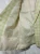 1771066692 (3).webp