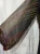 1769785001 (2).webp