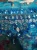 1781084751 (3).webp