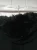 1765007495 (3).webp