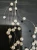 1764333331 (1).webp