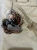 1762939971 (3).webp