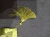 1760537015 (1).webp