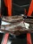 1759307888 (1).webp