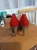1758350449 (2).webp