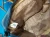 1780133945 (3).webp