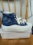 1757081559.webp
