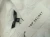1752665074 (2).webp