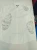 1752299288.webp