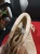 1786367905 (2).webp