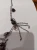 1787297490 (2).webp