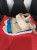 1783495695.webp