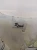 1784122658 (3).webp
